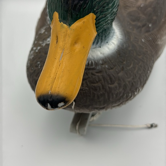 Handpainted Male Mallard Plastic Decoy Duck 17” - Picture 6 of 10